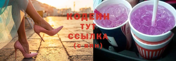 шишки Заводоуковск