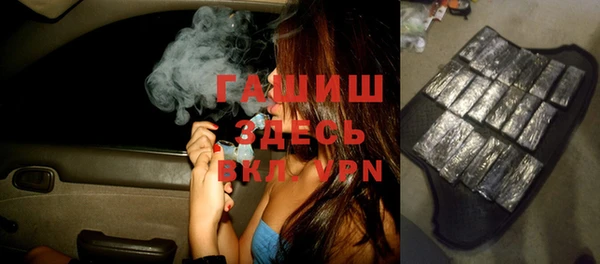шишки Заводоуковск