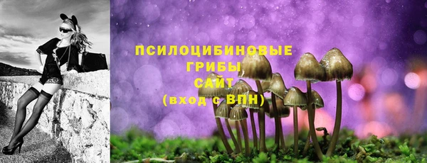 шишки Заводоуковск