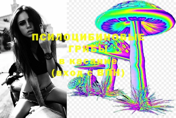 шишки Заводоуковск