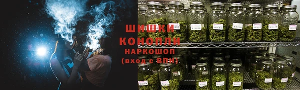 шишки Заводоуковск