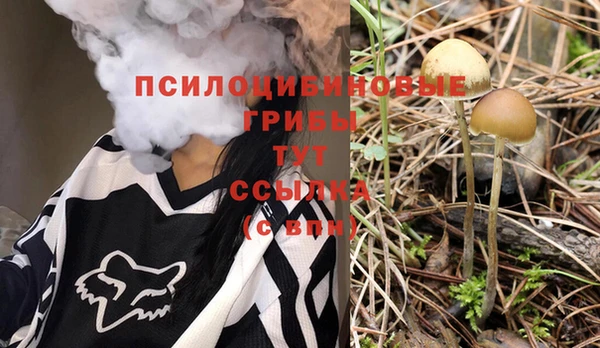 apvp Заволжск