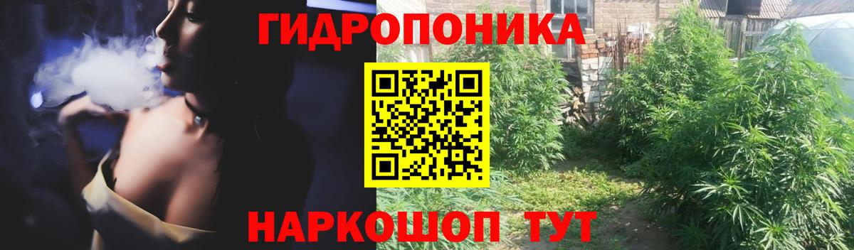 Бошки марихуана марихуана  Каннабис индика  Саяногорск  МАРИХУАНА THC 21%  Вход с VPN 